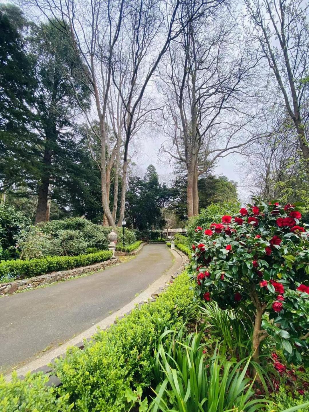 美丽人生住宿加早餐旅馆 萨沙弗拉斯 外观 照片