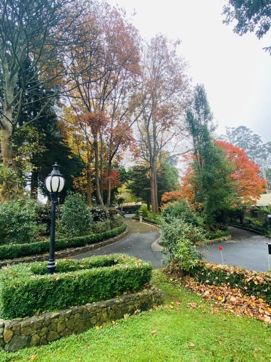 美丽人生住宿加早餐旅馆 萨沙弗拉斯 外观 照片