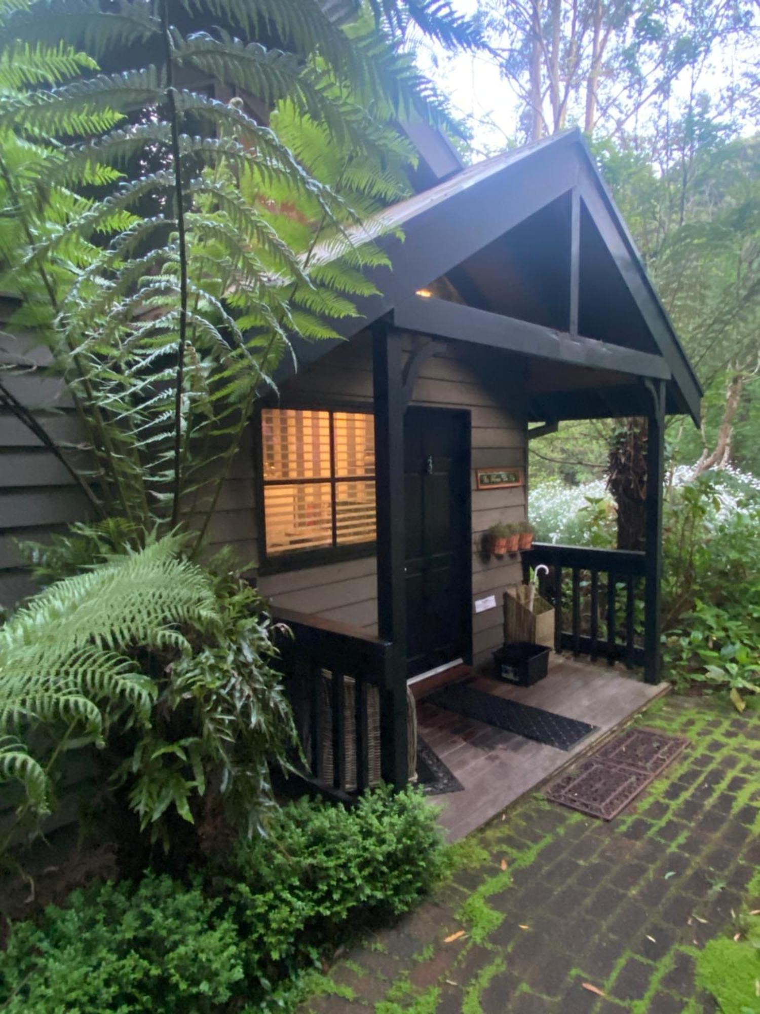 美丽人生住宿加早餐旅馆 萨沙弗拉斯 外观 照片